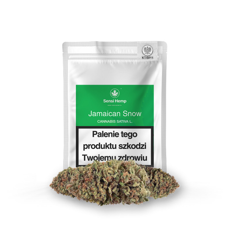 Jamaican Snow - Susz CBG 16% Sensi Hemp