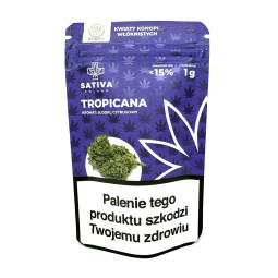 CBD Kwiaty Konopi ”TROPICANA” 1 g