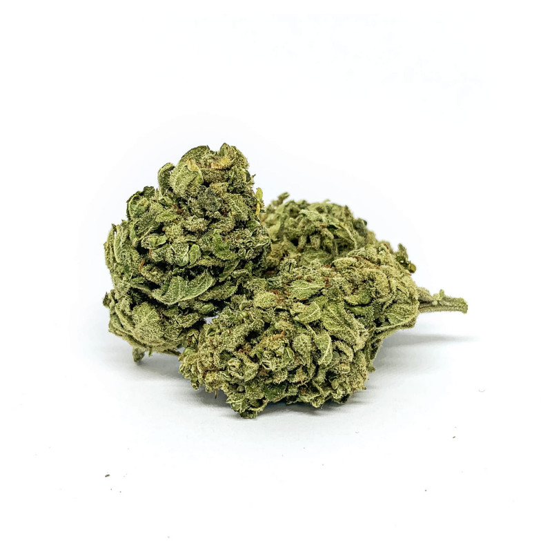 CBD Kwiaty Konopi ”TROPICANA” 1 g CBD Kwiaty Konopi ”TROPICANA” 1 g