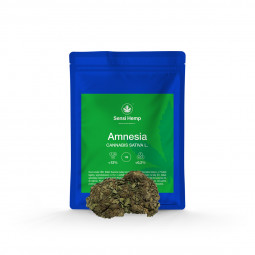 Amnesia - Susz CBD 12% Sensi Hemp