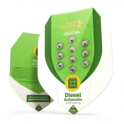 Diesel Auto Feminized Nasiona Marihuany Royal Queen Seeds