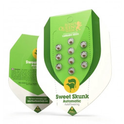 Sweet Skunk Auto Feminized Nasiona Marihuany Royal Queen Seeds