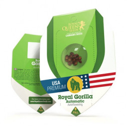 Royal Gorilla Auto Feminized Nasiona Marihuany Royal Queen Seeds